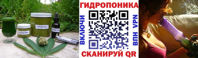 Canna-Cookies конопля  Купить закладки  Нариманов 