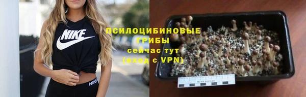 меф Медногорск