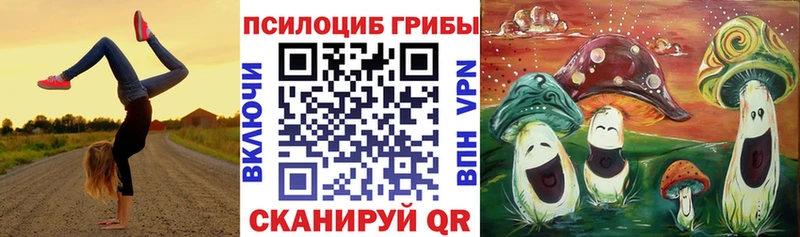 Галлюциногенные грибы Cubensis  Купить  Нариманов 